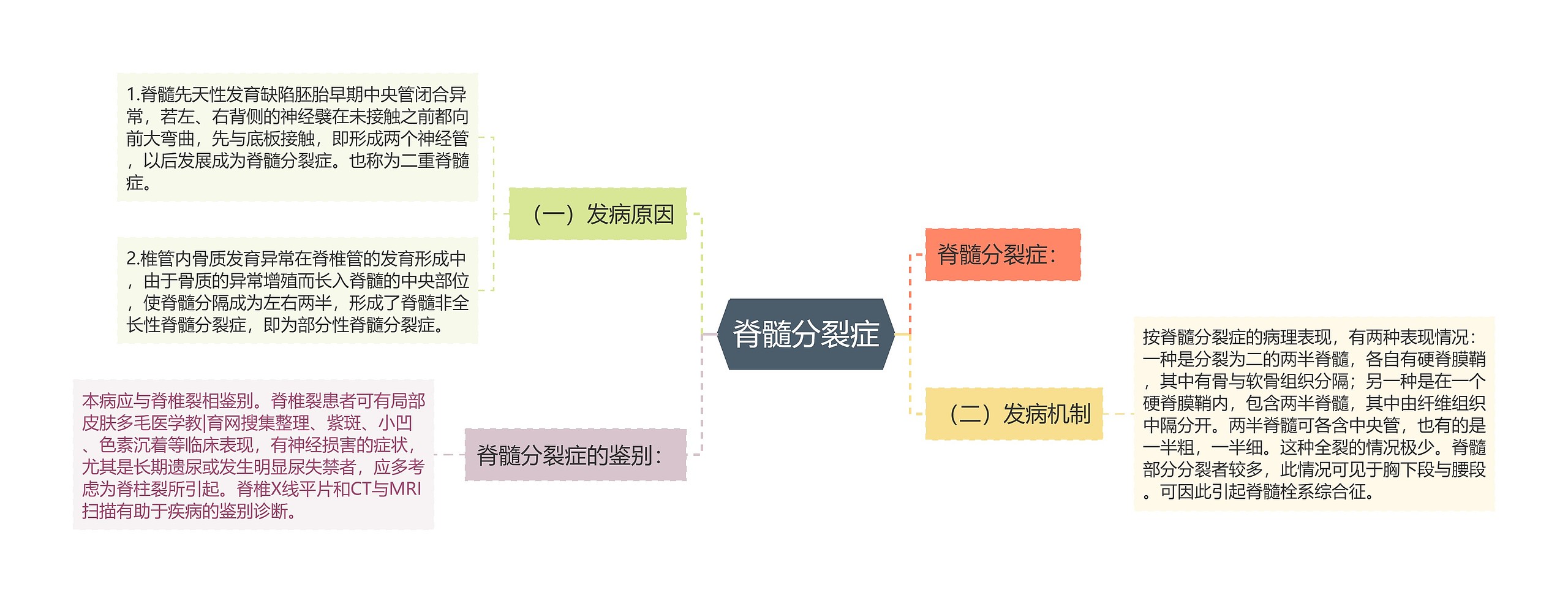 脊髓分裂症思维导图