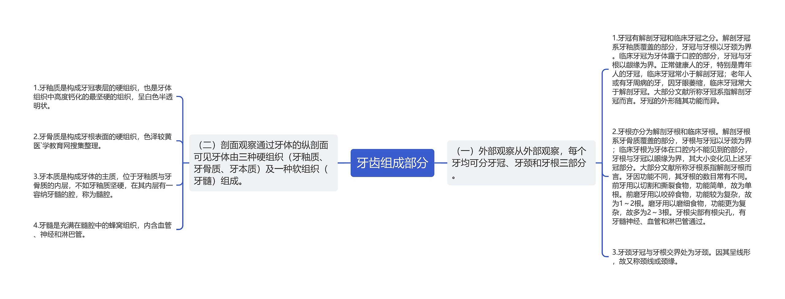 牙齿组成部分思维导图