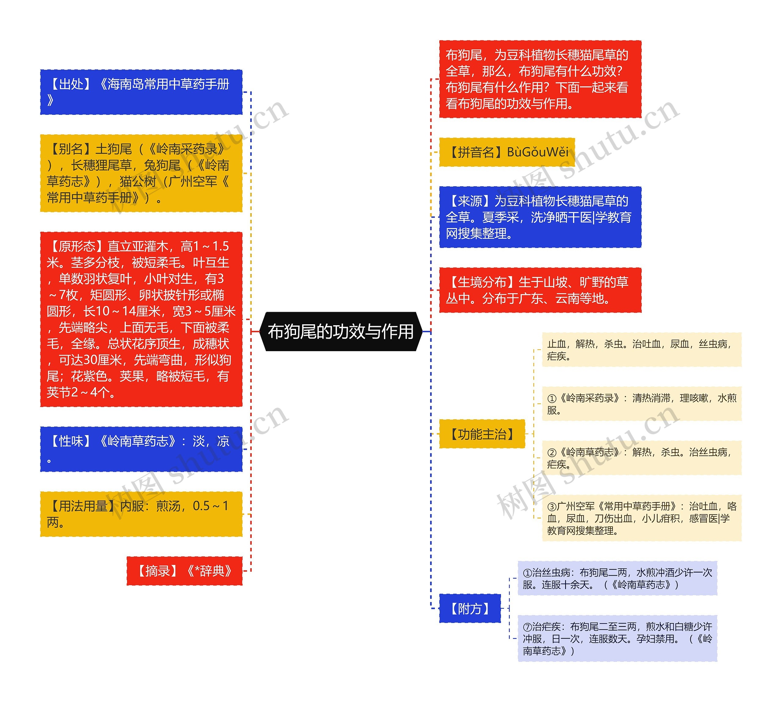 布狗尾的功效与作用思维导图