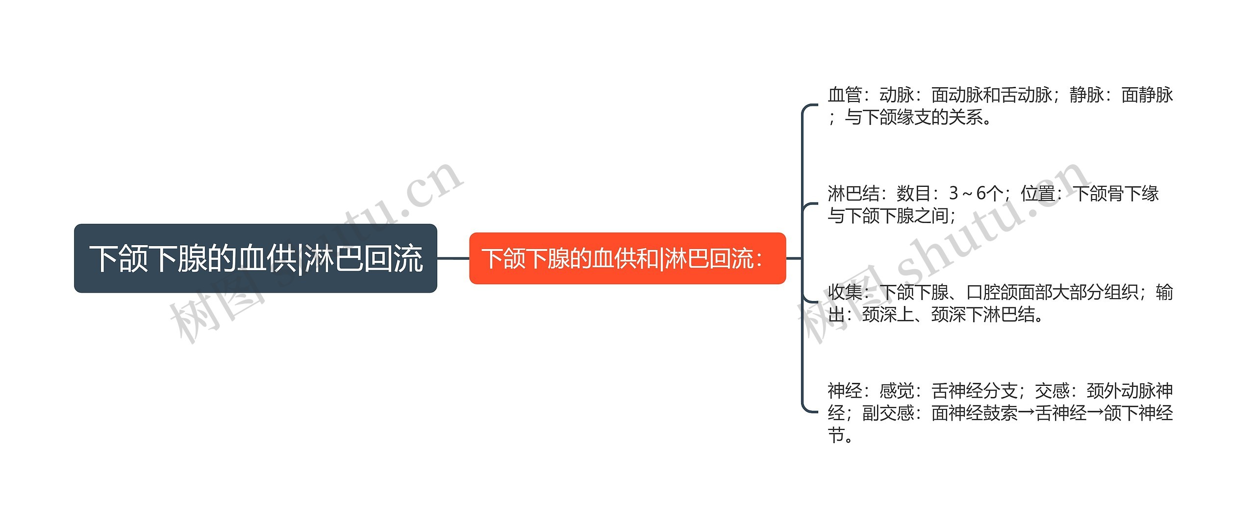 下颌下腺的血供|淋巴回流