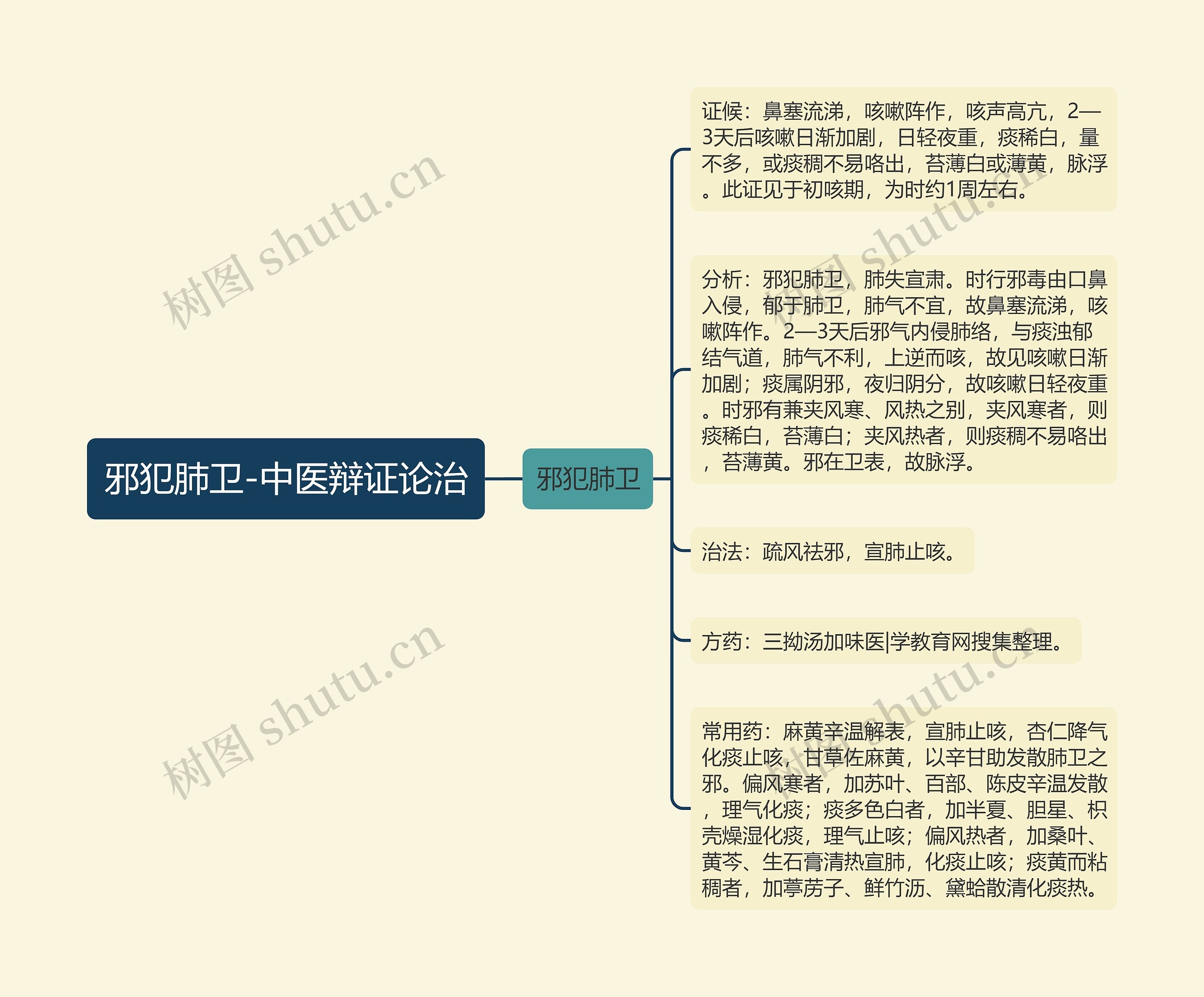 邪犯肺卫-中医辩证论治思维导图