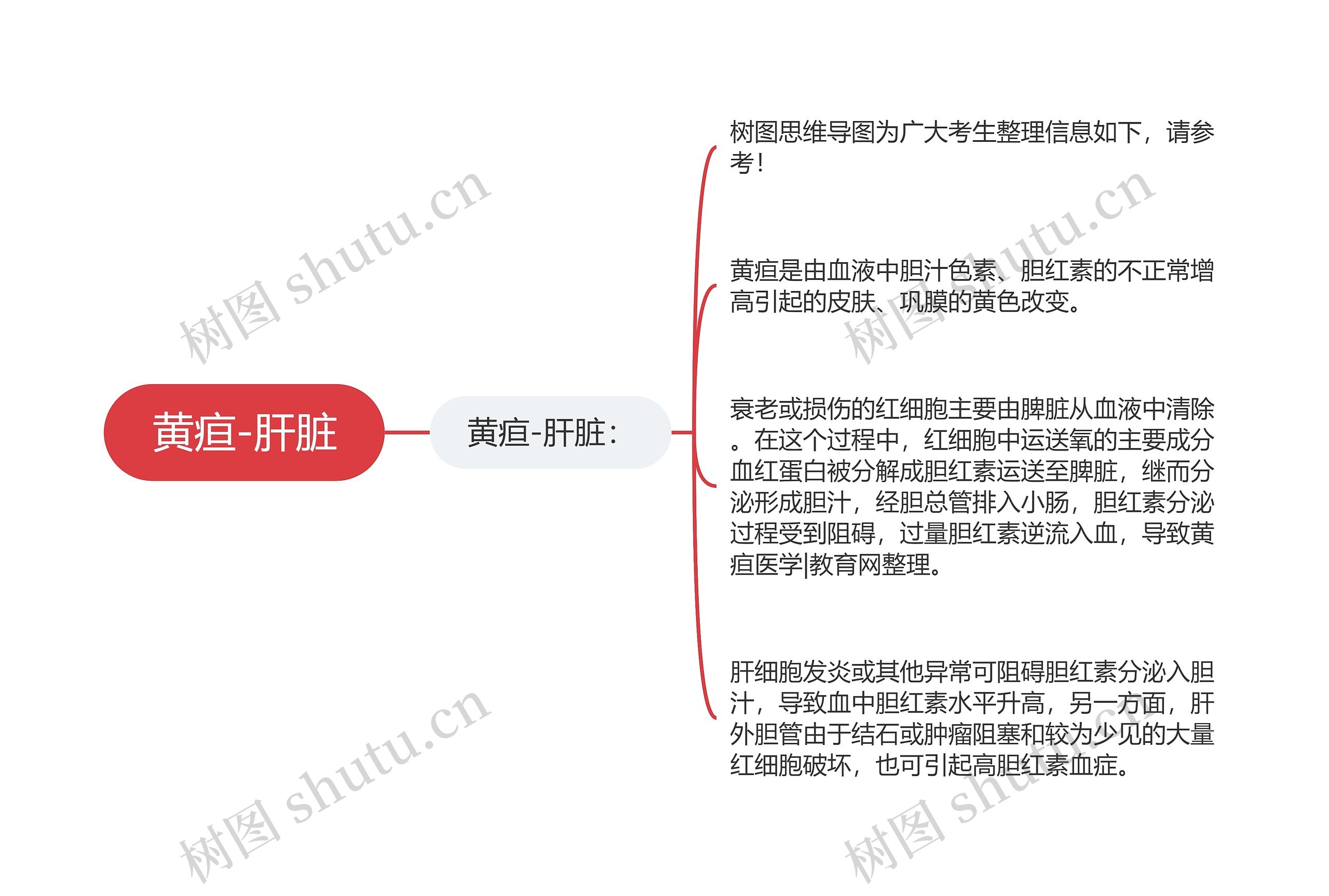 黄疸-肝脏思维导图