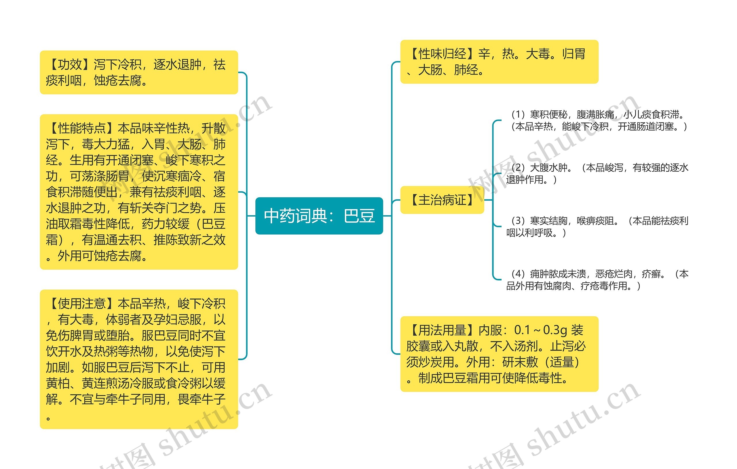 中药词典：巴豆思维导图