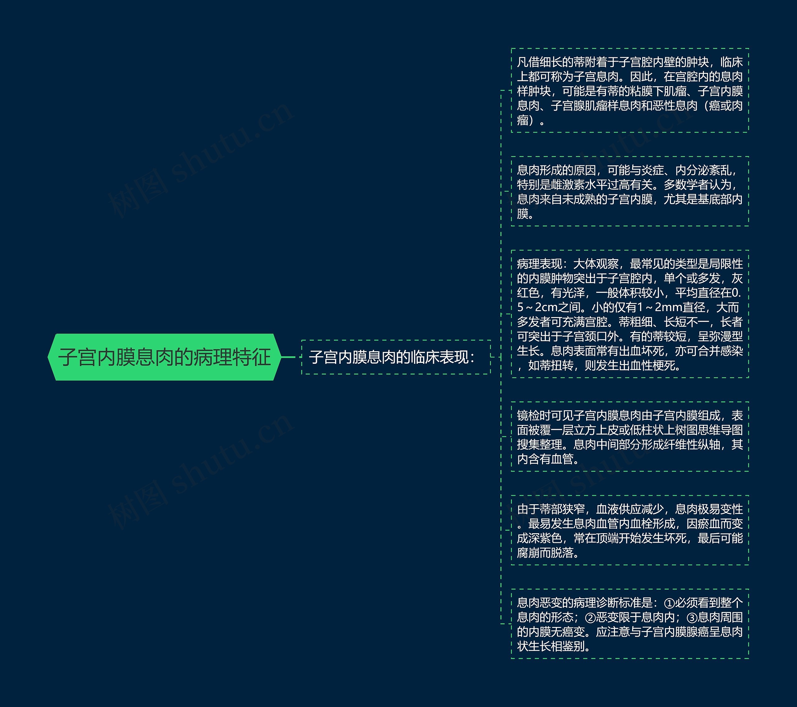 子宫内膜息肉的病理特征