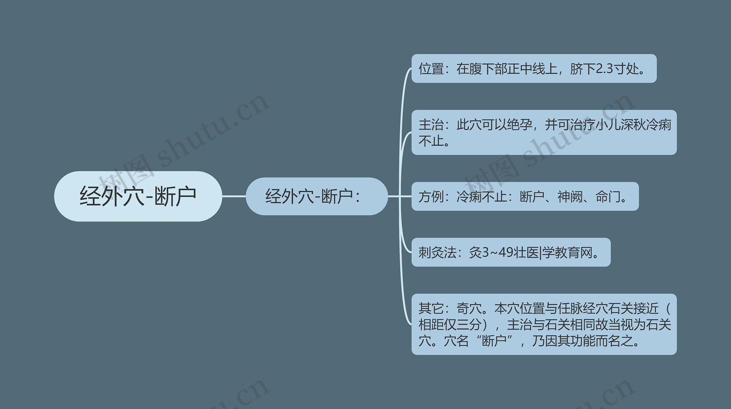 经外穴-断户 经外穴-断户