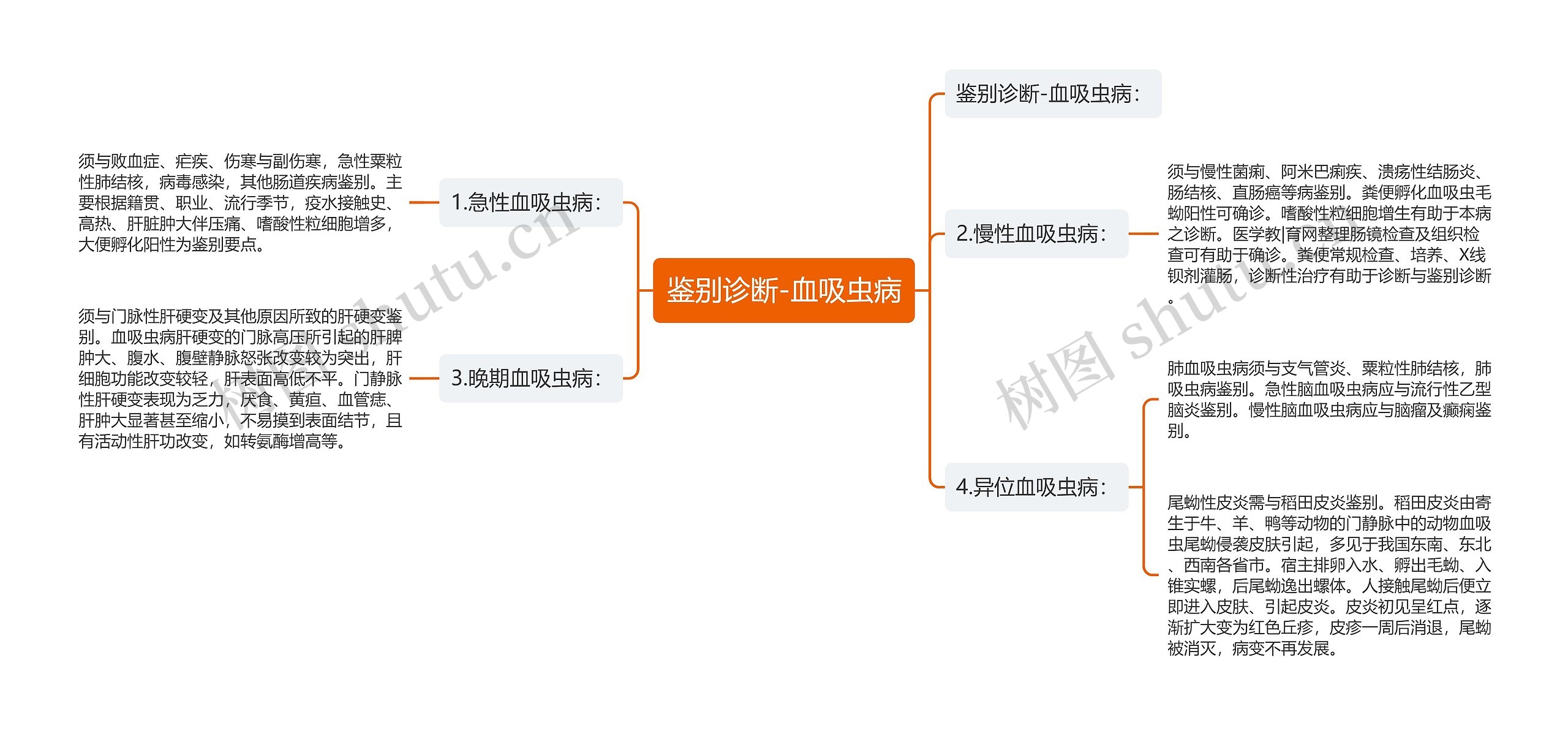 鉴别诊断-血吸虫病