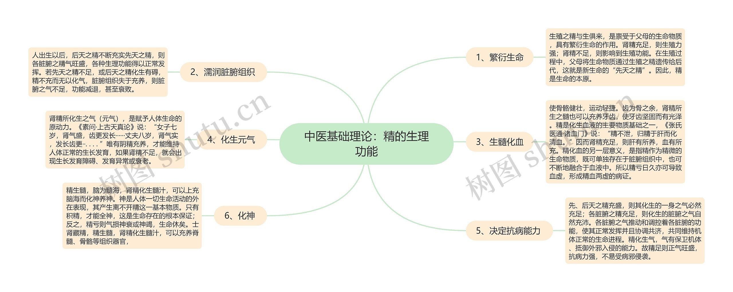 中医基础理论：精的生理功能