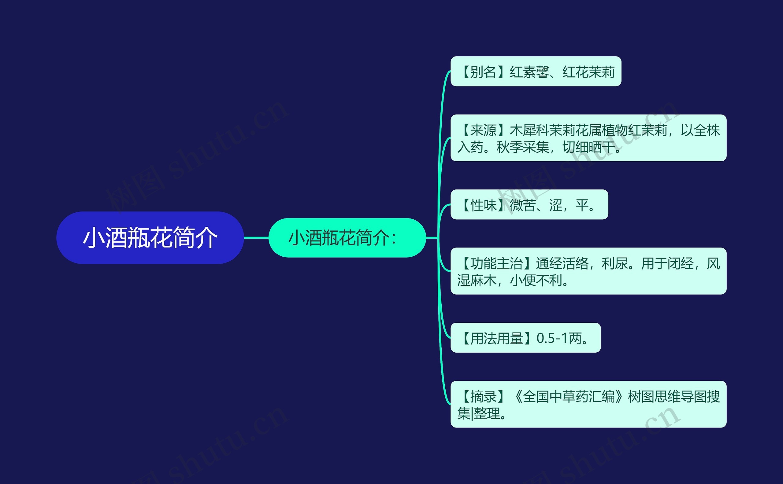 小酒瓶花简介思维导图