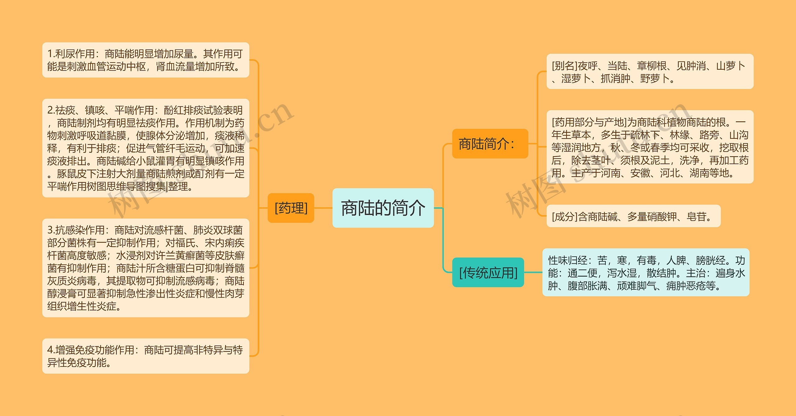 商陆的简介思维导图