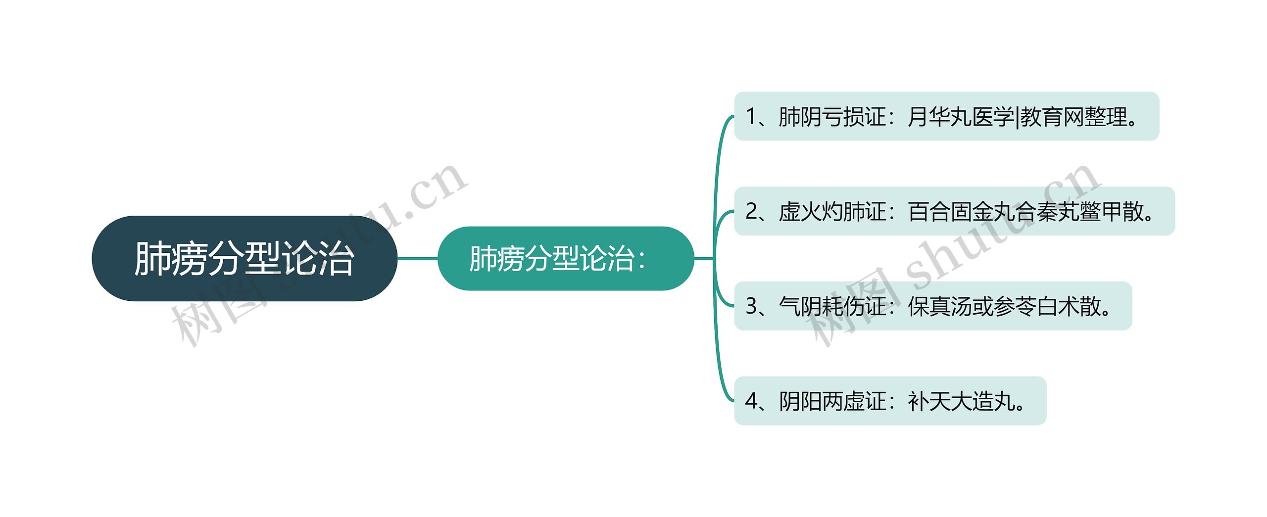 肺痨分型论治思维导图