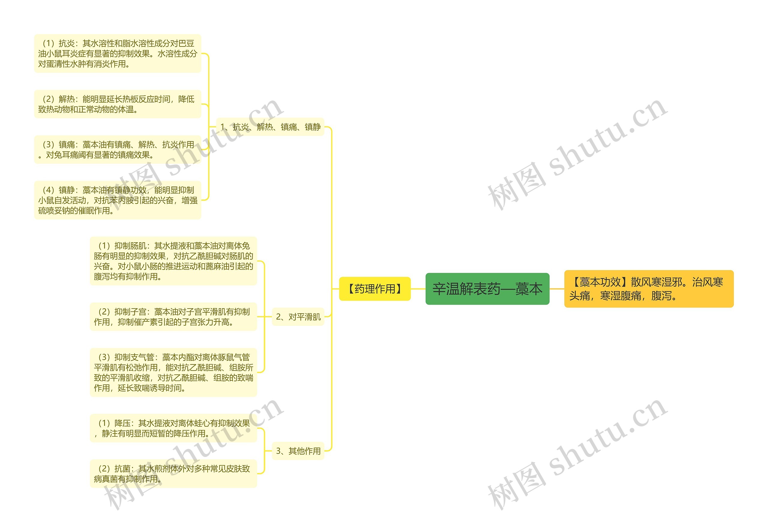 辛温解表药—藁本思维导图