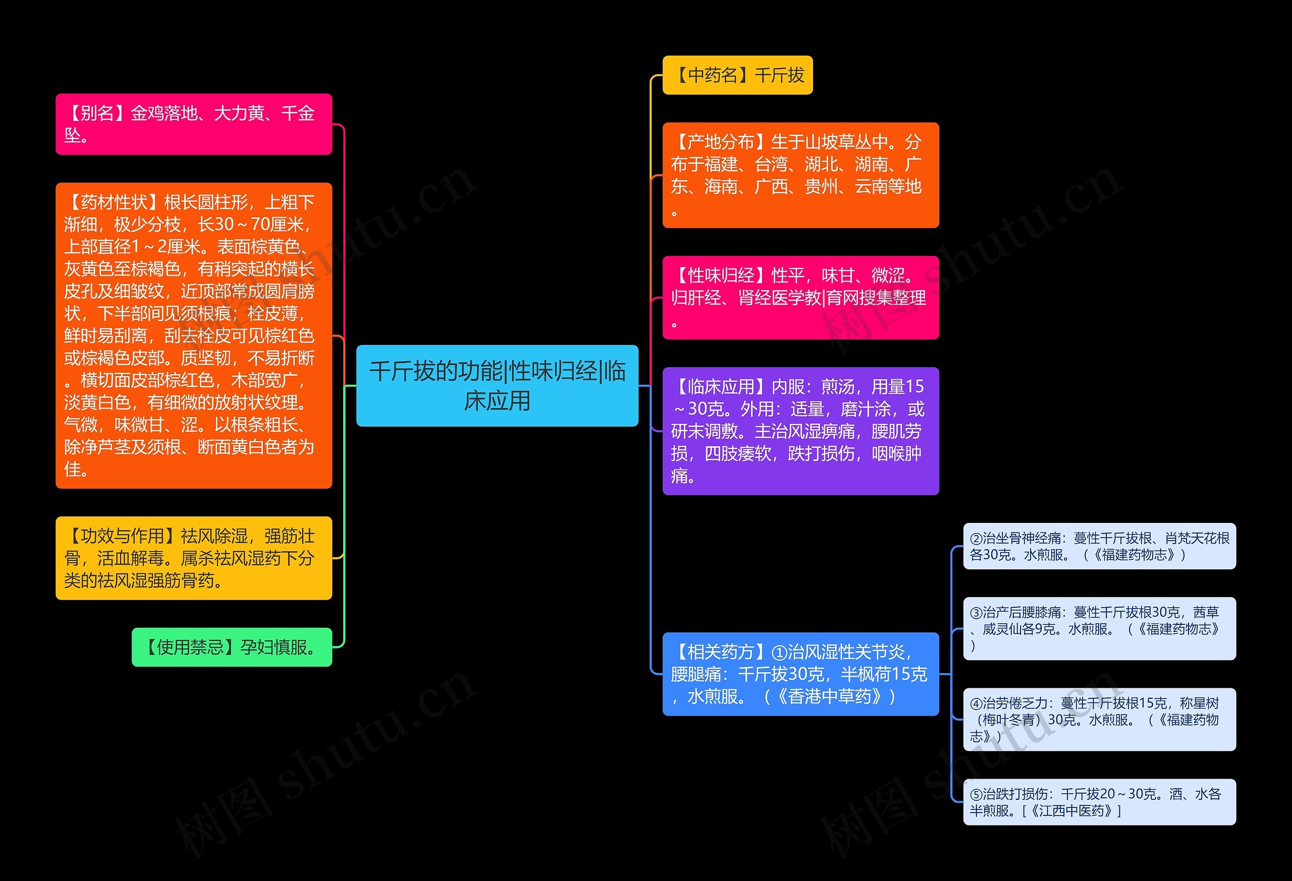 千斤拔的功能|性味归经|临床应用思维导图