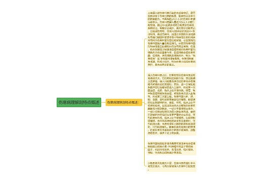 伤寒病理解剖特点概述