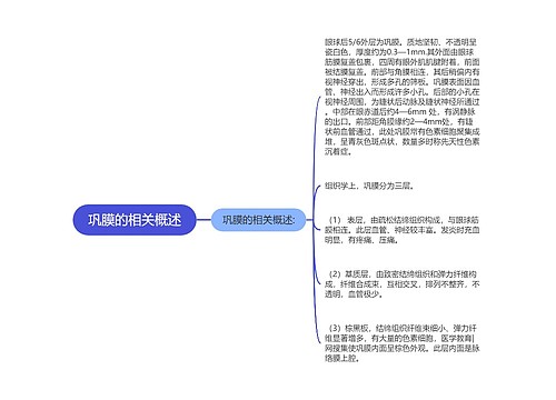 巩膜的相关概述