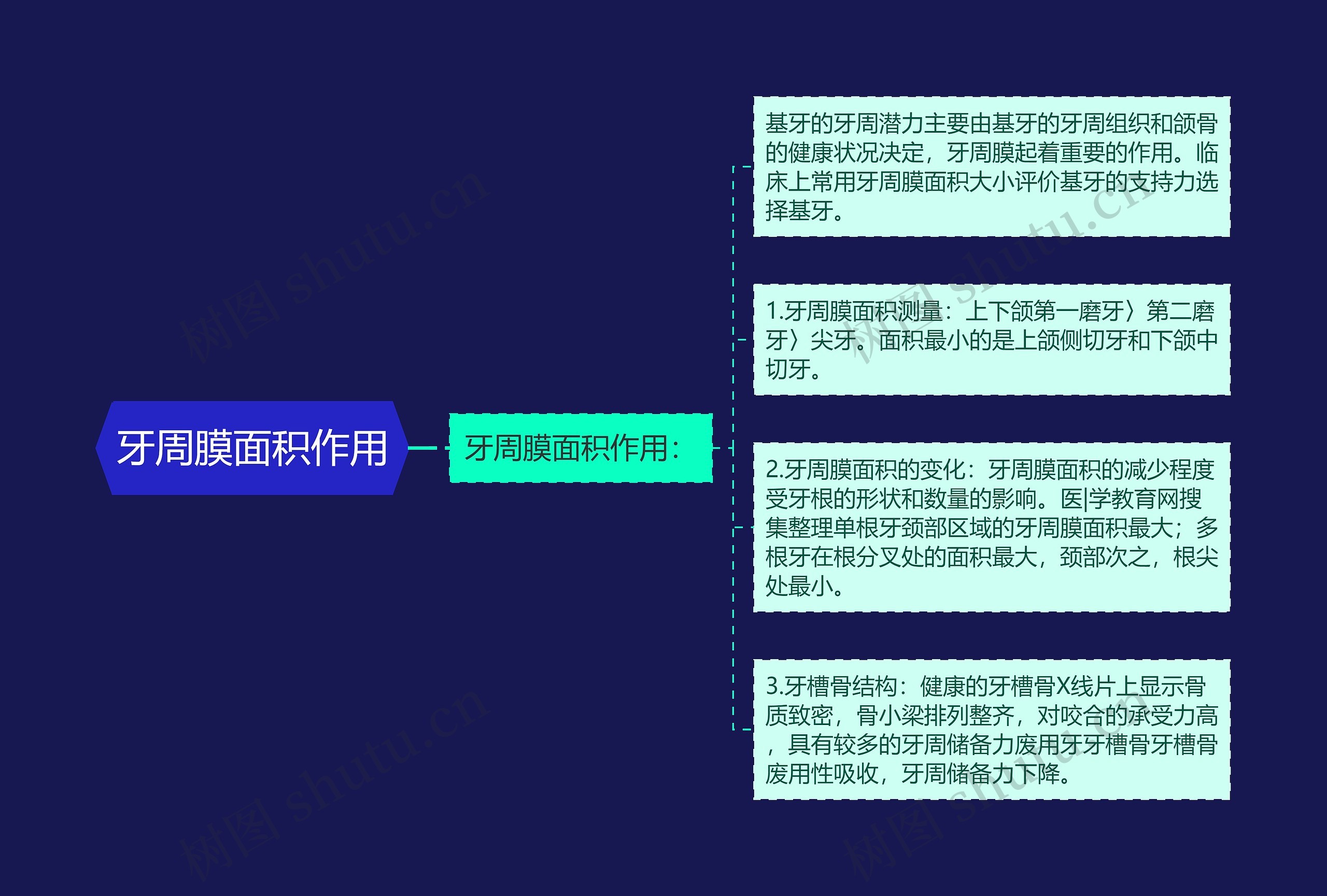 牙周膜面积作用思维导图