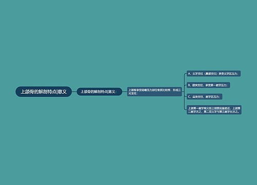 上颌骨的解剖特点|意义