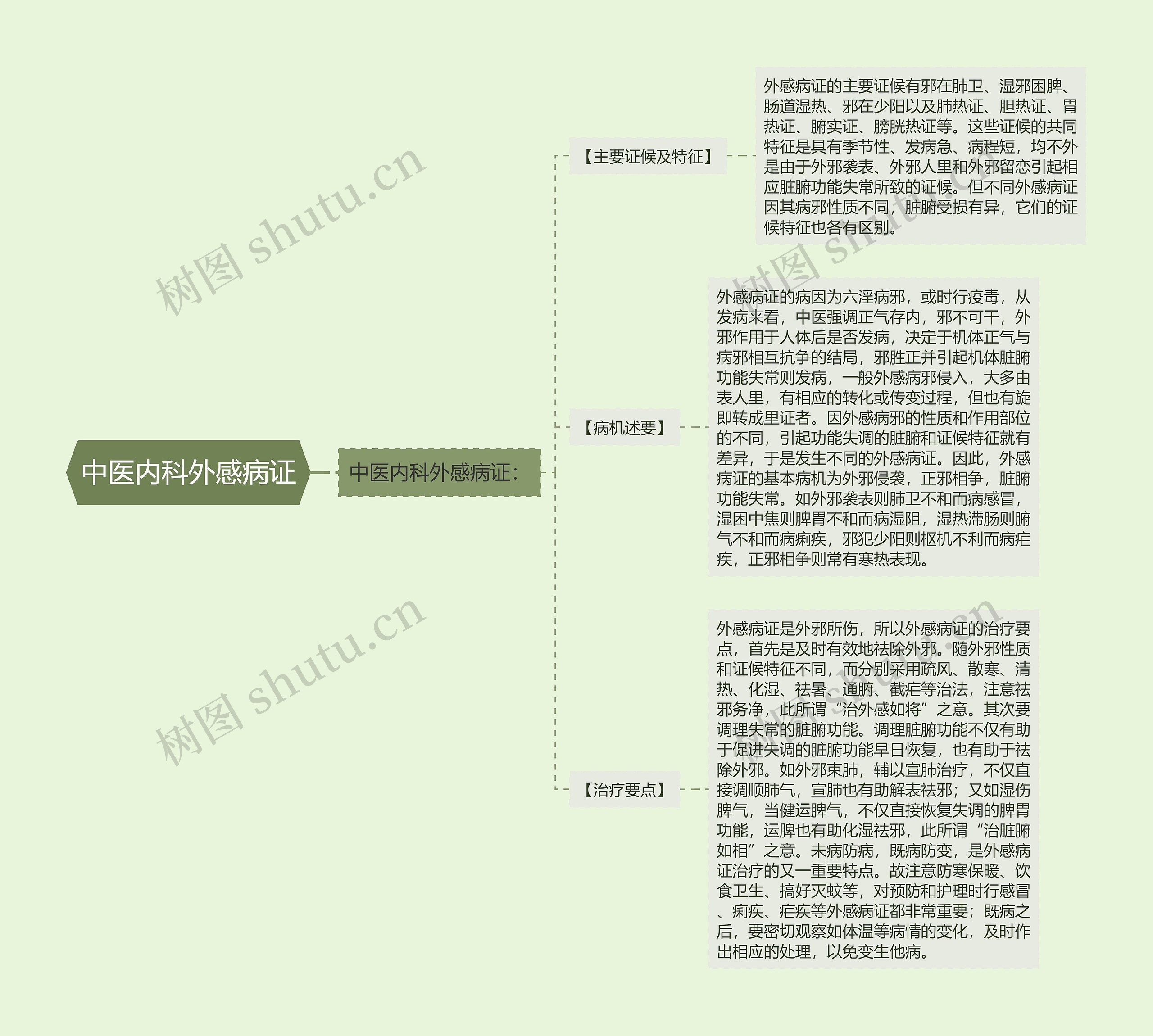 中医内科外感病证