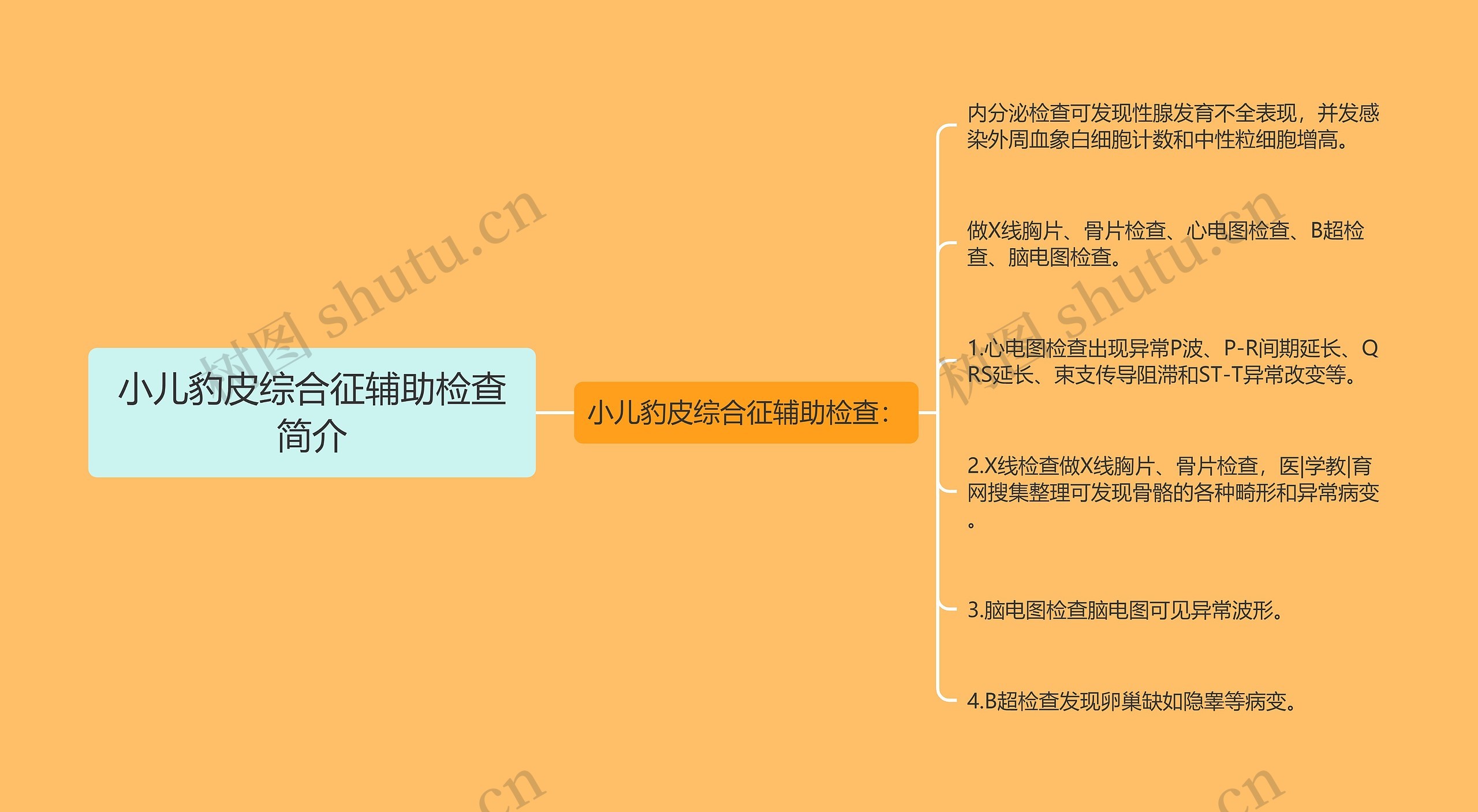 小儿豹皮综合征辅助检查简介 小儿豹皮综合征辅助检查简介
