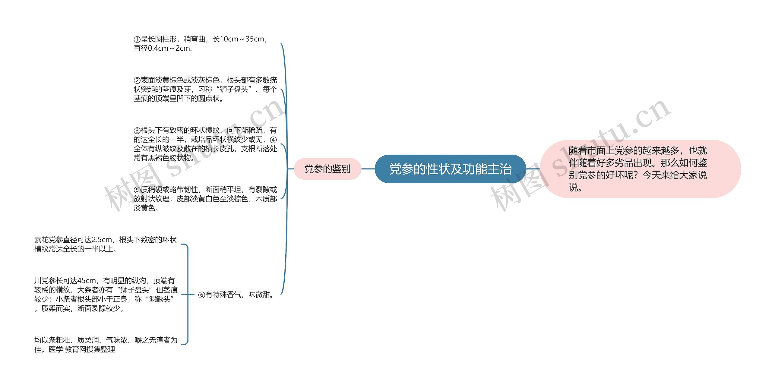 党参的性状及功能主治