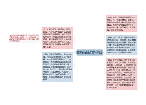 胚眼的发生和形成简述