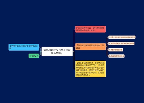 缺氧引起呼吸兴奋是通过什么中枢？