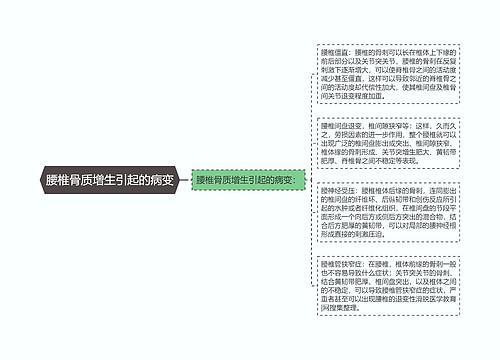 腰椎骨质增生引起的病变