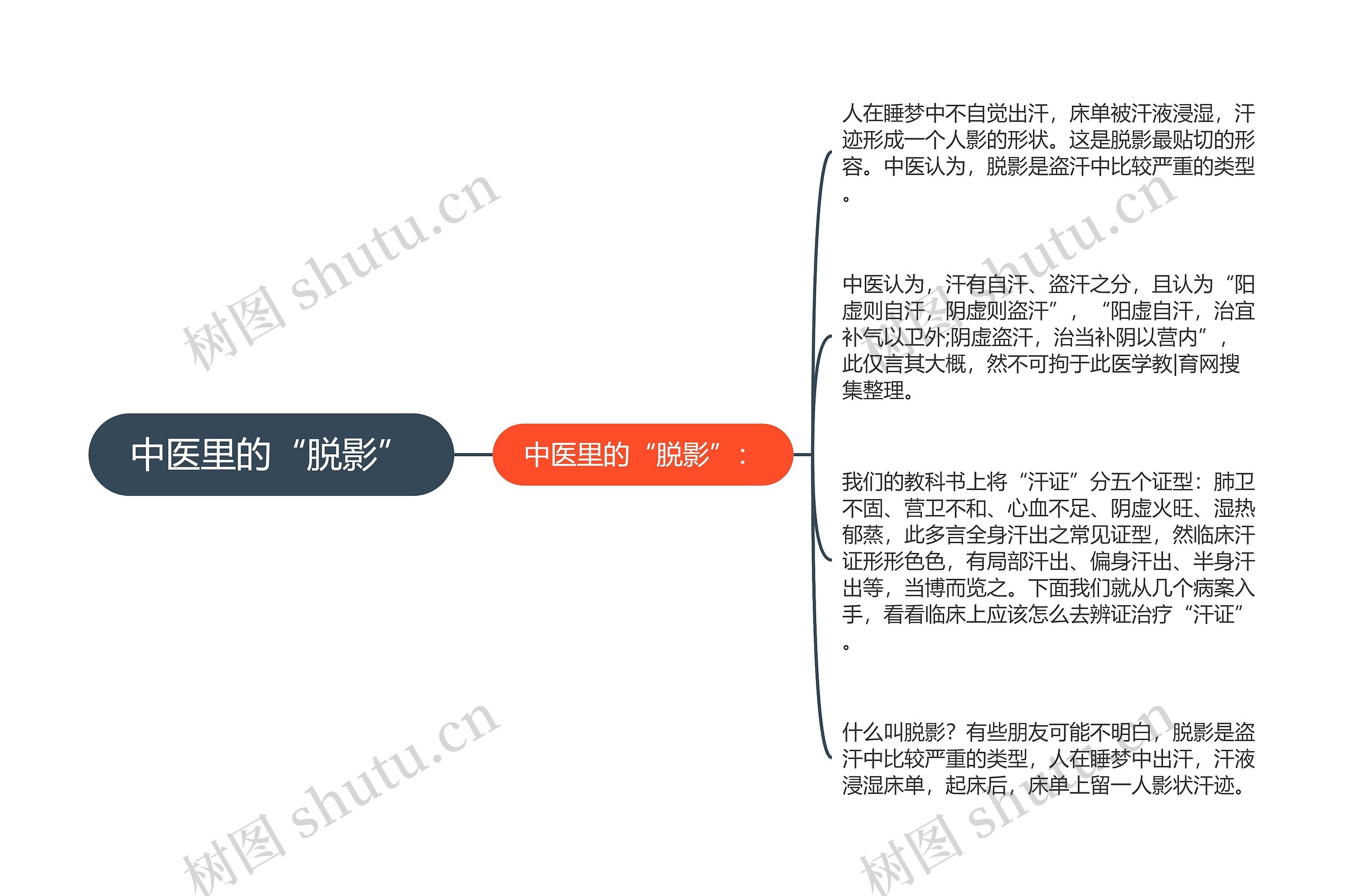 中医里的“脱影”思维导图