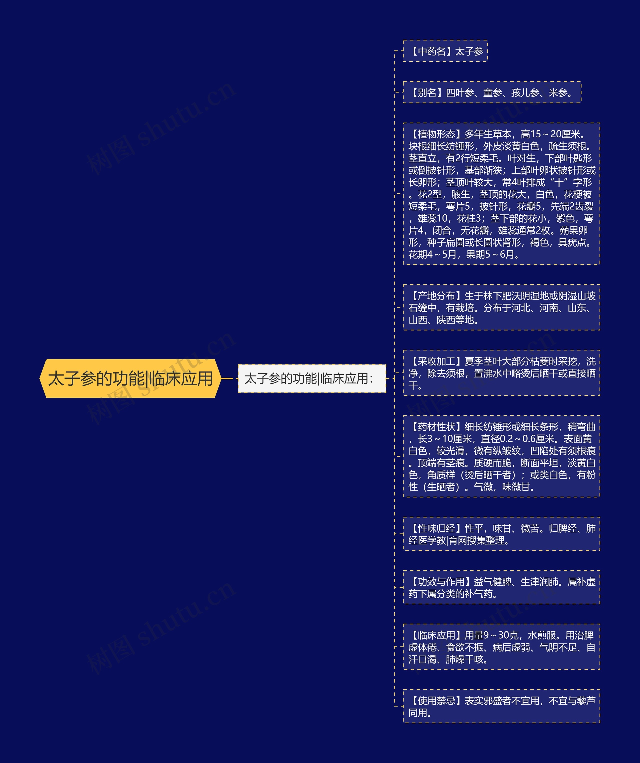 太子参的功能|临床应用思维导图