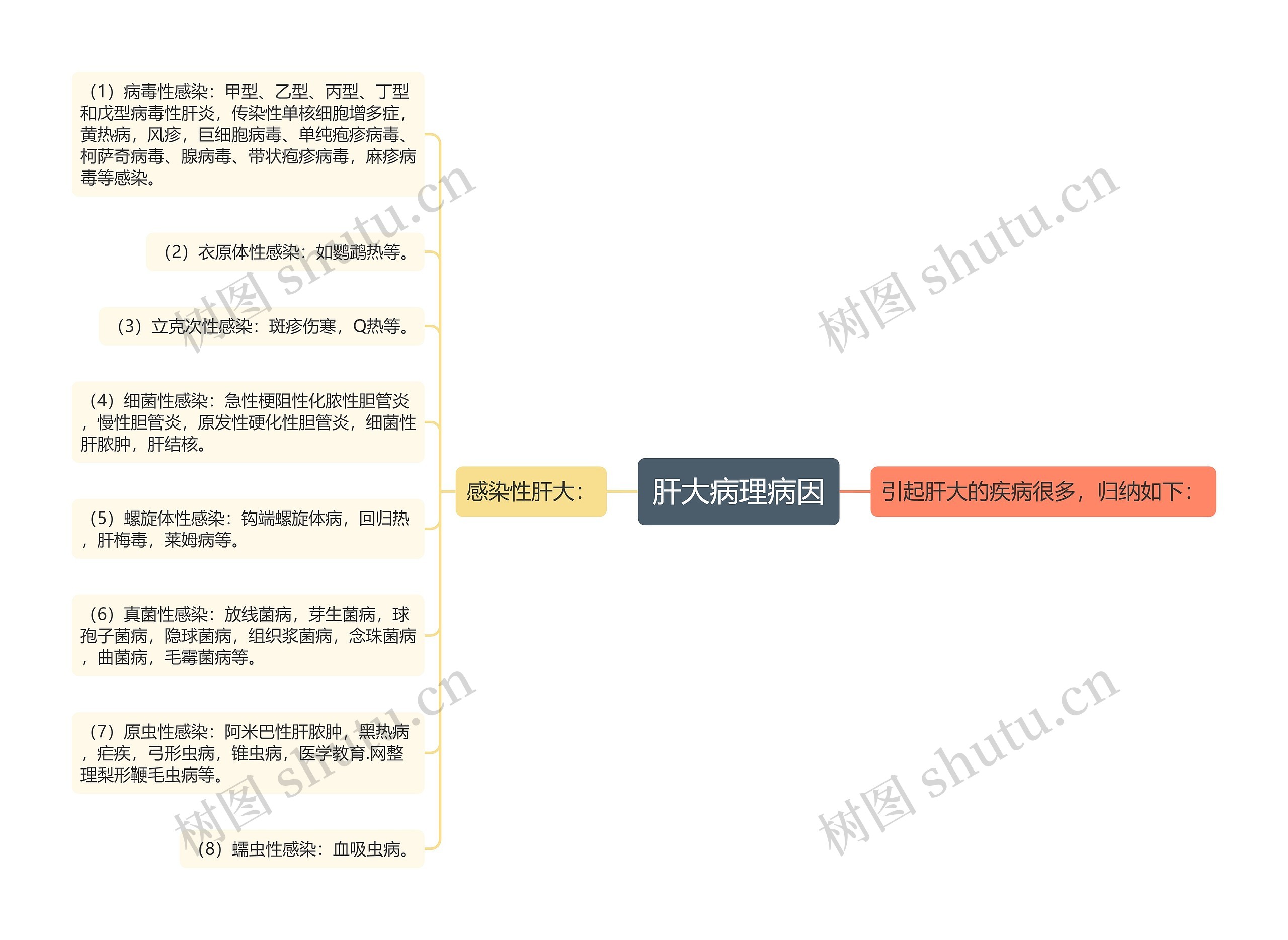 肝大病理病因思维导图