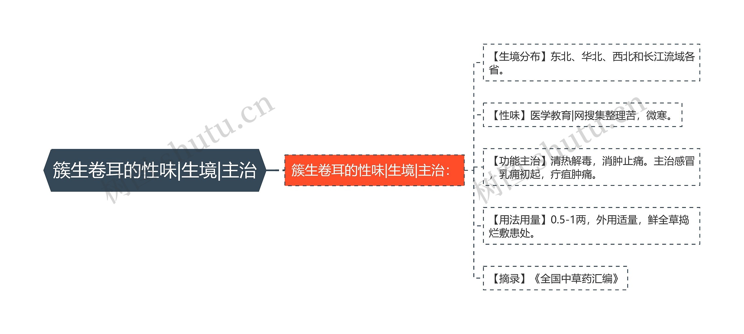 簇生卷耳的性味|生境|主治