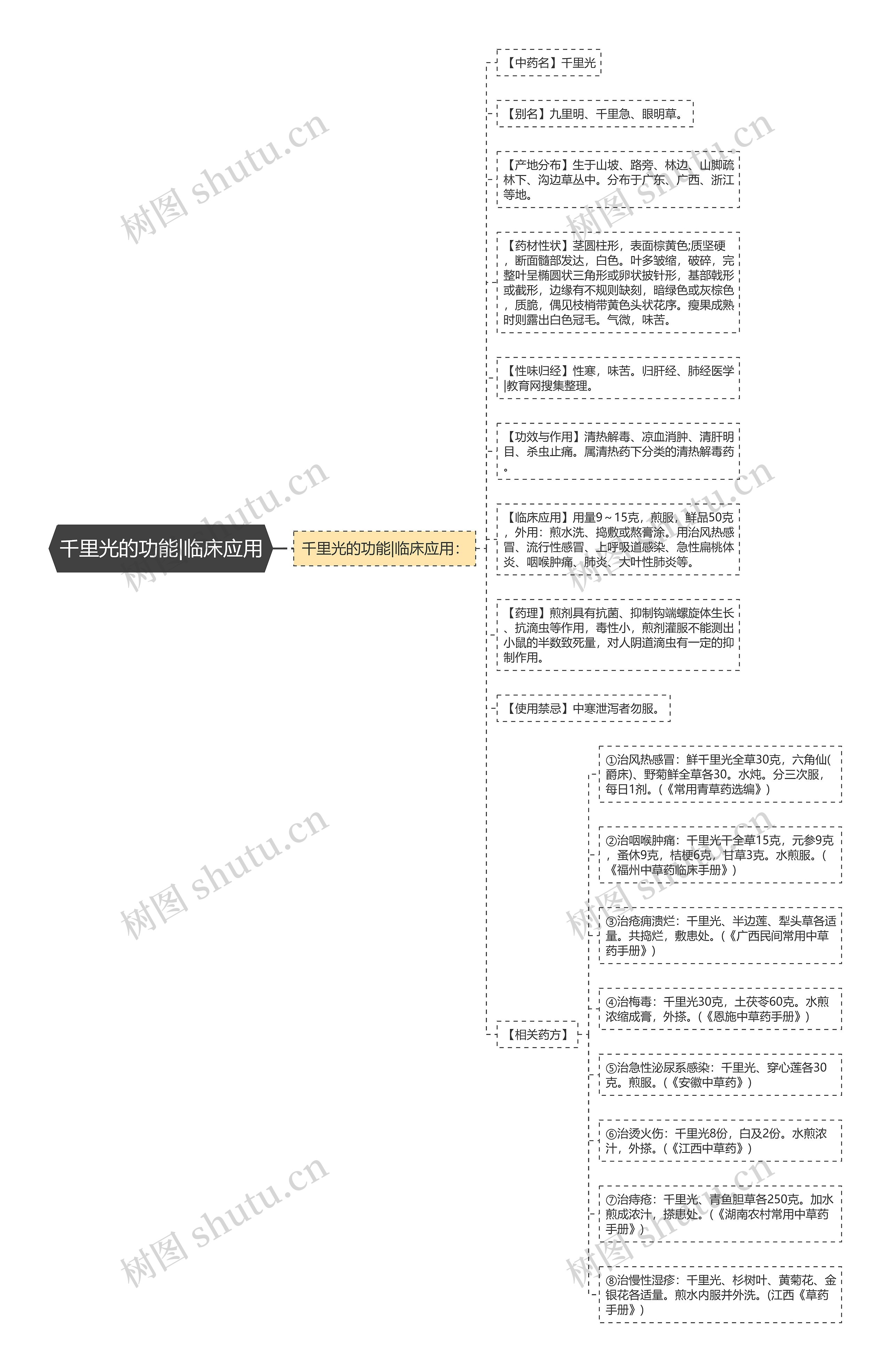 千里光的功能|临床应用思维导图