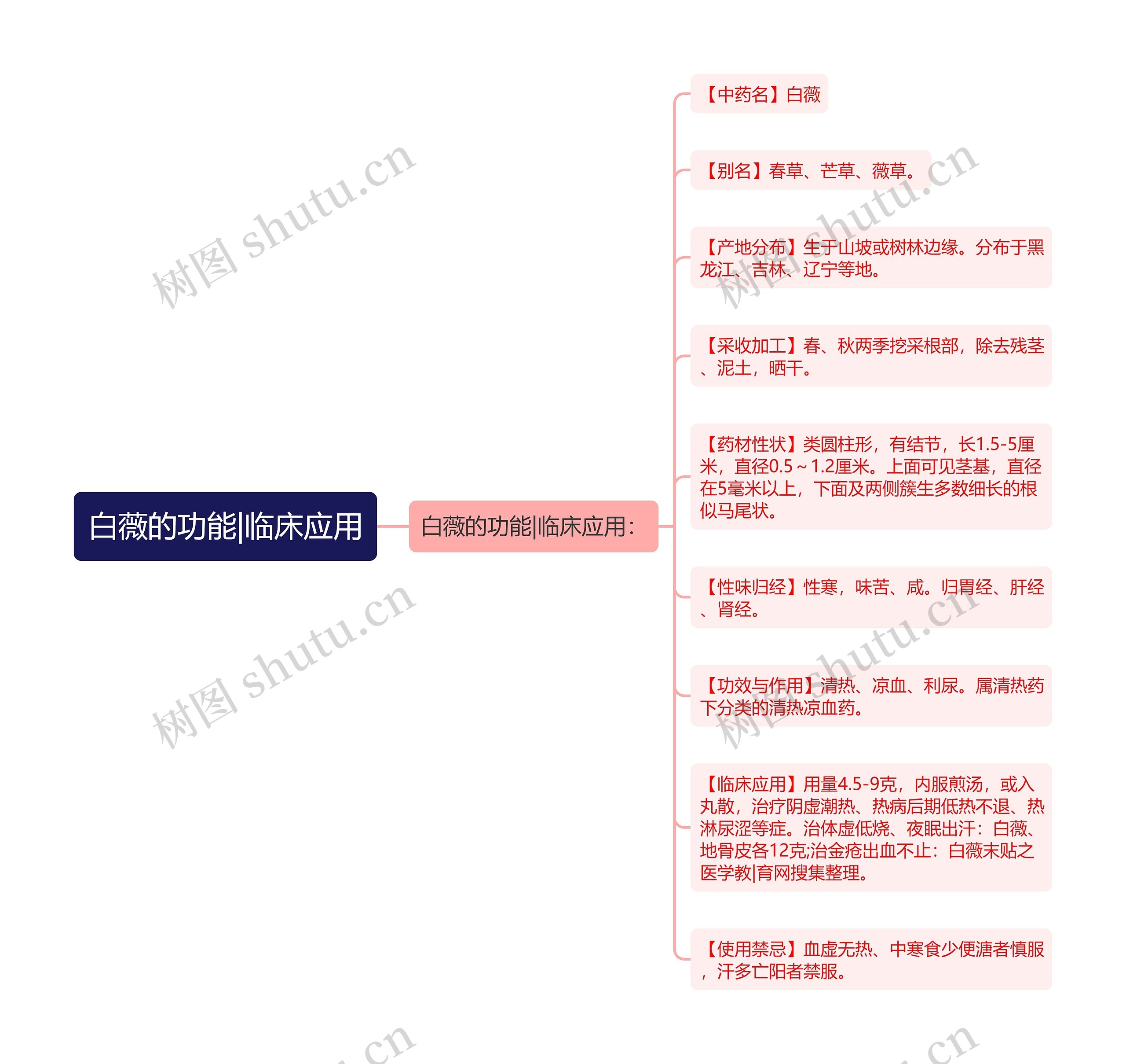 白薇的功能|临床应用思维导图