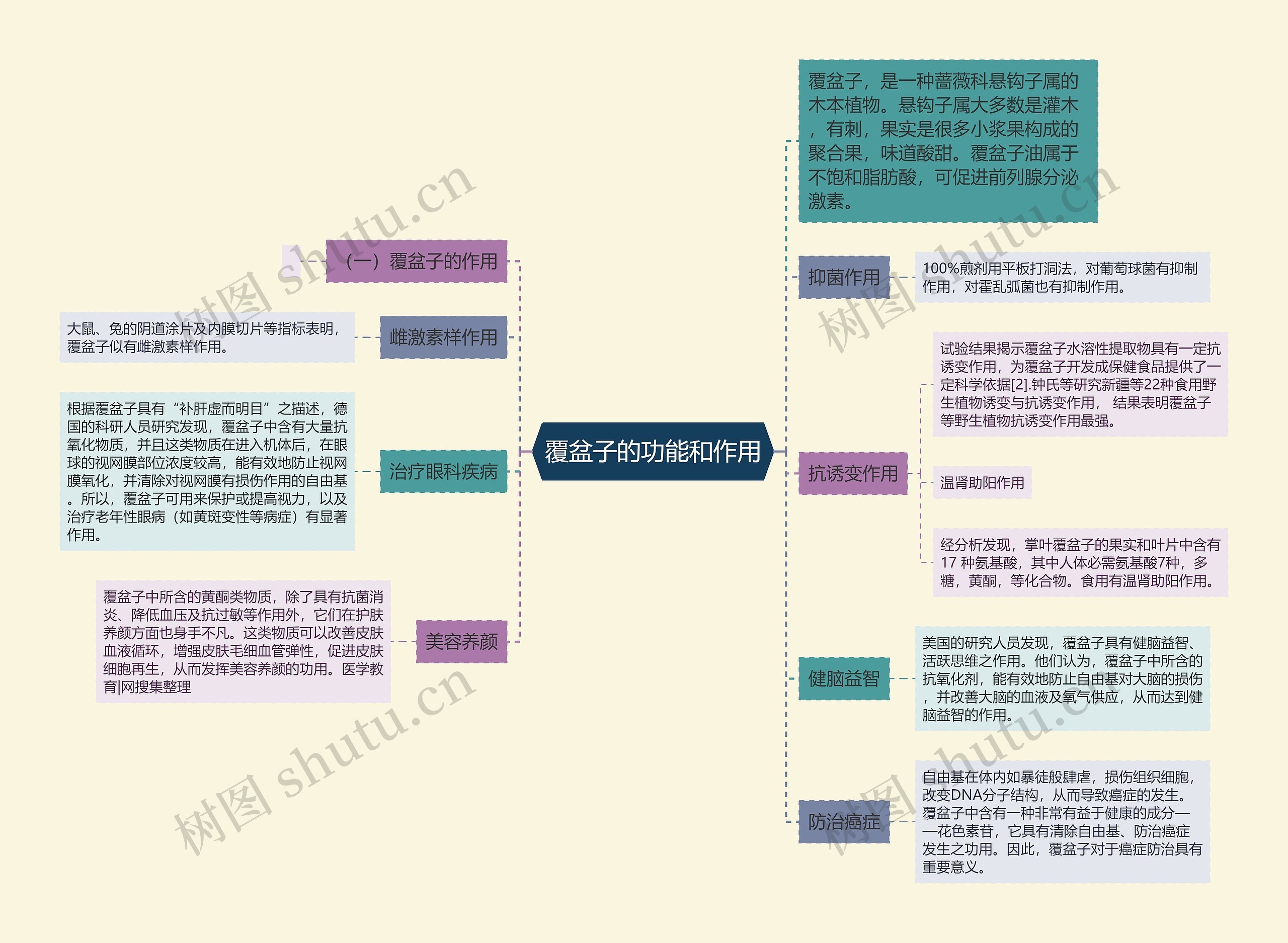 覆盆子的功能和作用思维导图