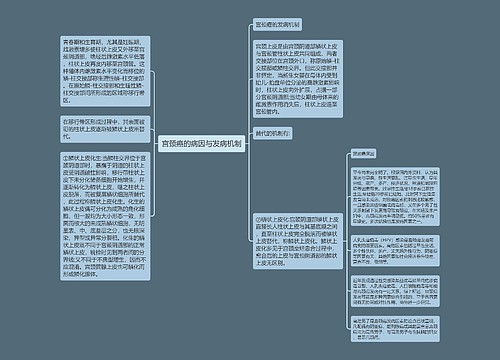 宫颈癌的病因与发病机制