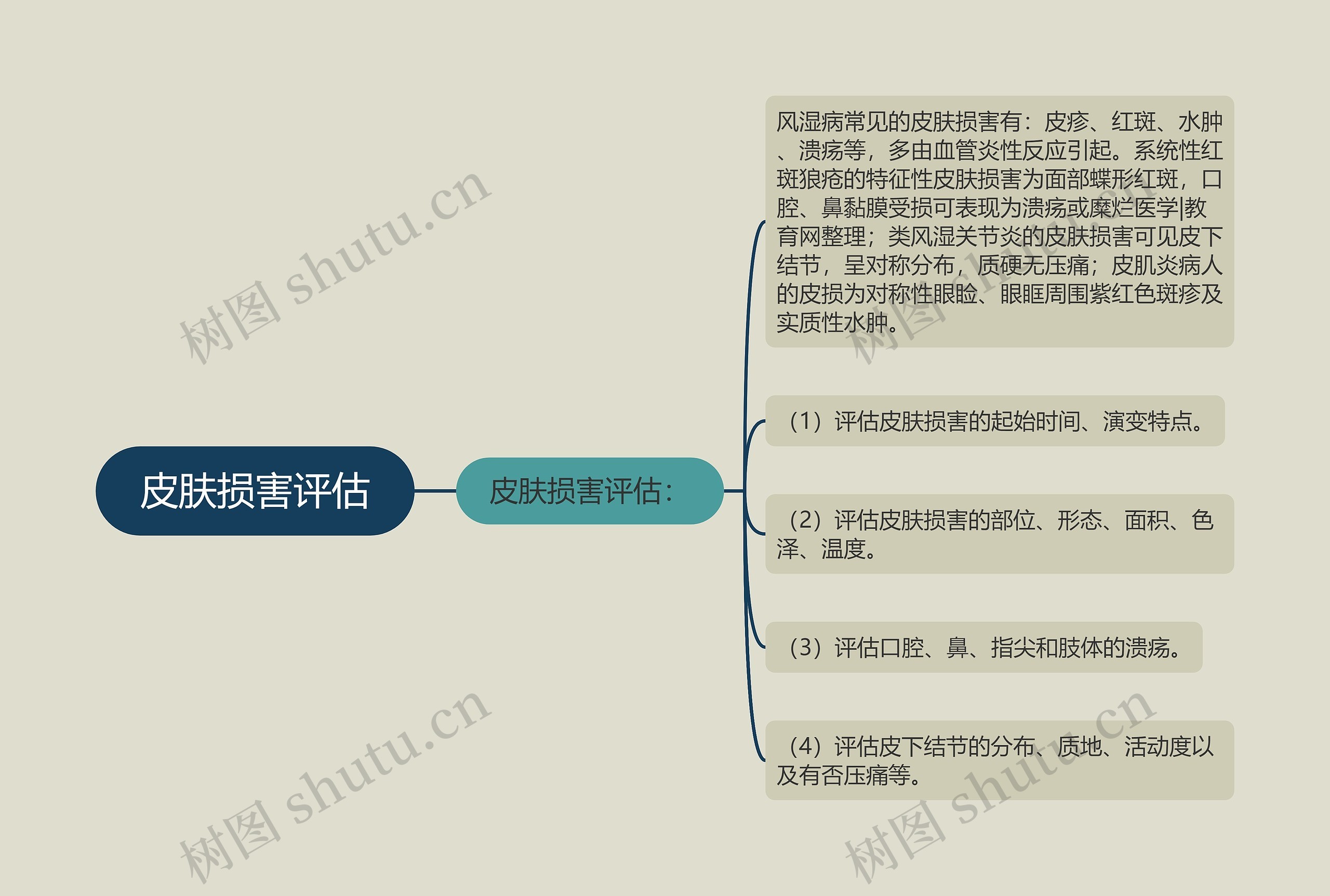 皮肤损害评估