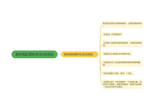 紫苏苞的原形态|主治|用法