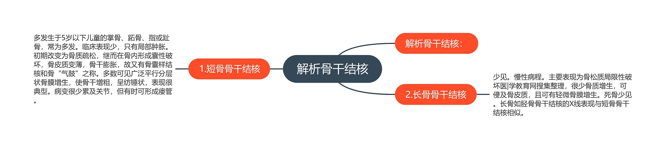 解析骨干结核 解析骨干结核