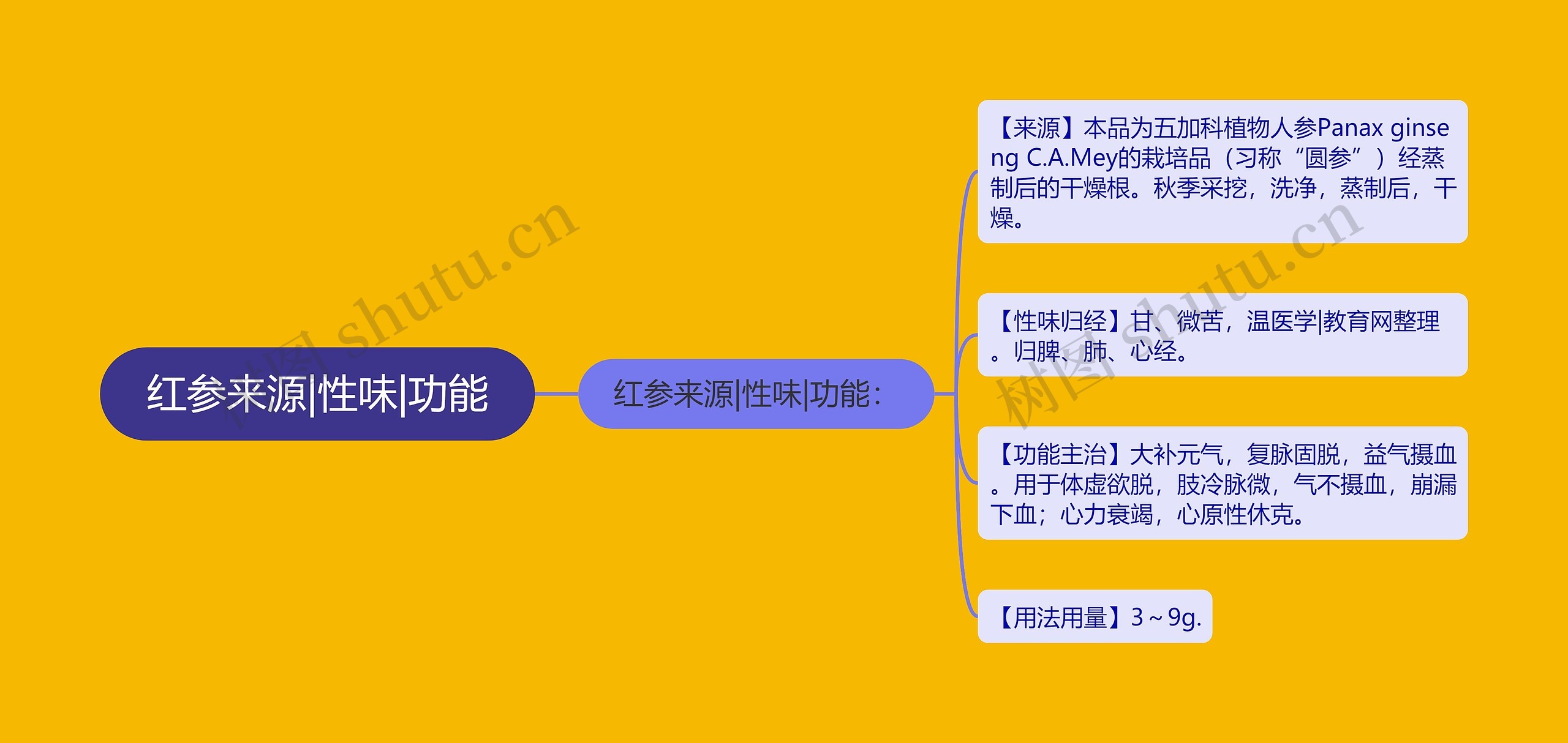 红参来源|性味|功能思维导图