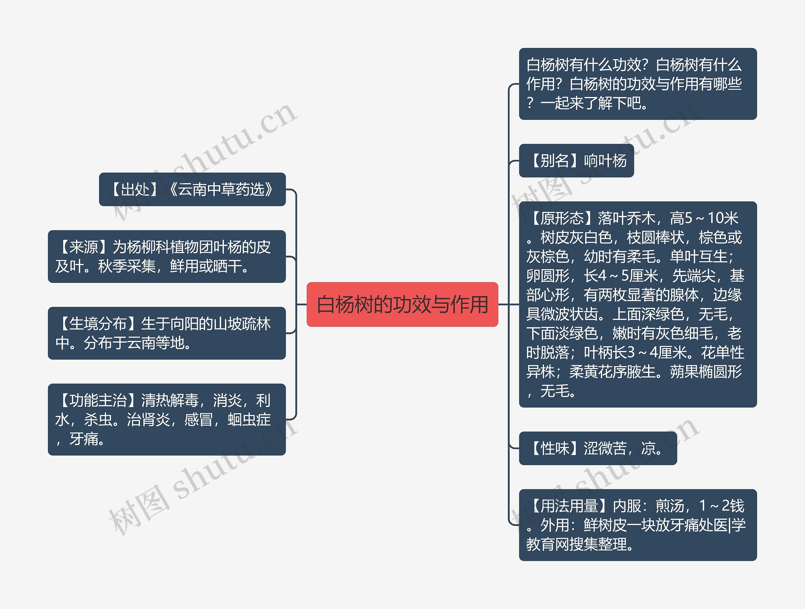 白杨树的功效与作用思维导图