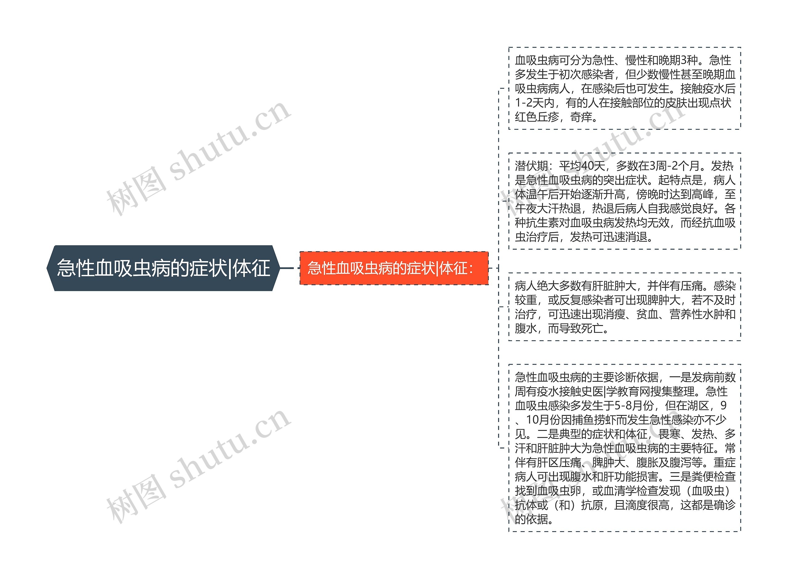 急性血吸虫病的症状|体征