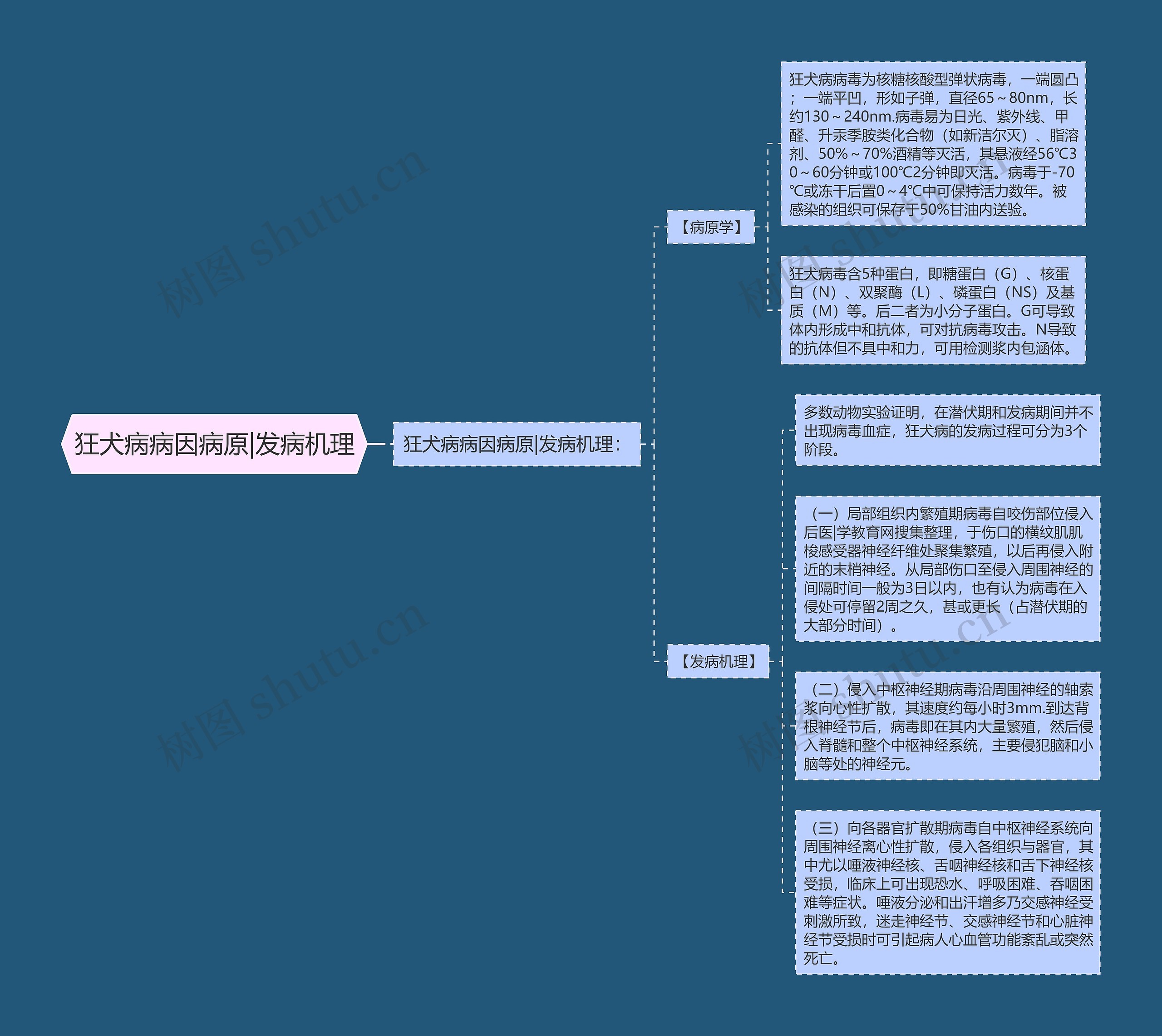 狂犬病病因病原|发病机理思维导图