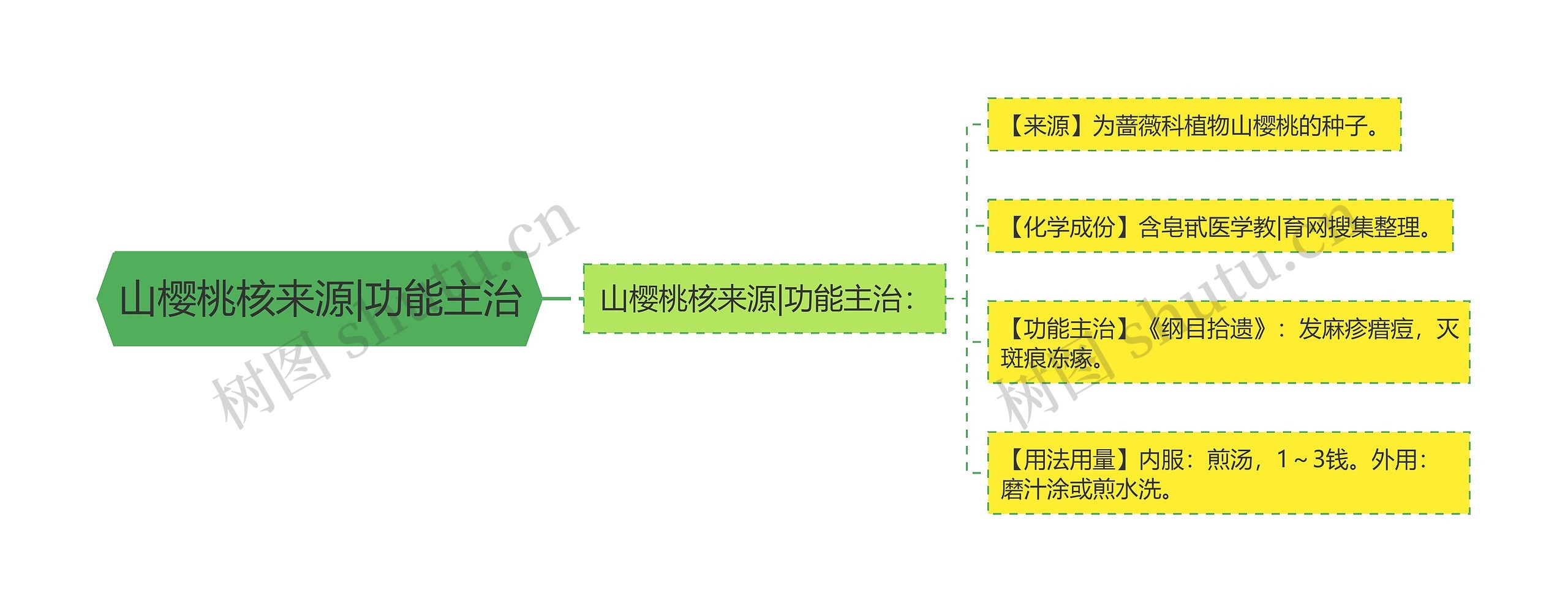 山樱桃核来源|功能主治思维导图