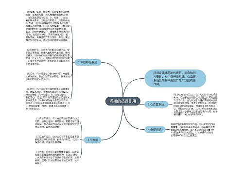 吗啡的药理作用