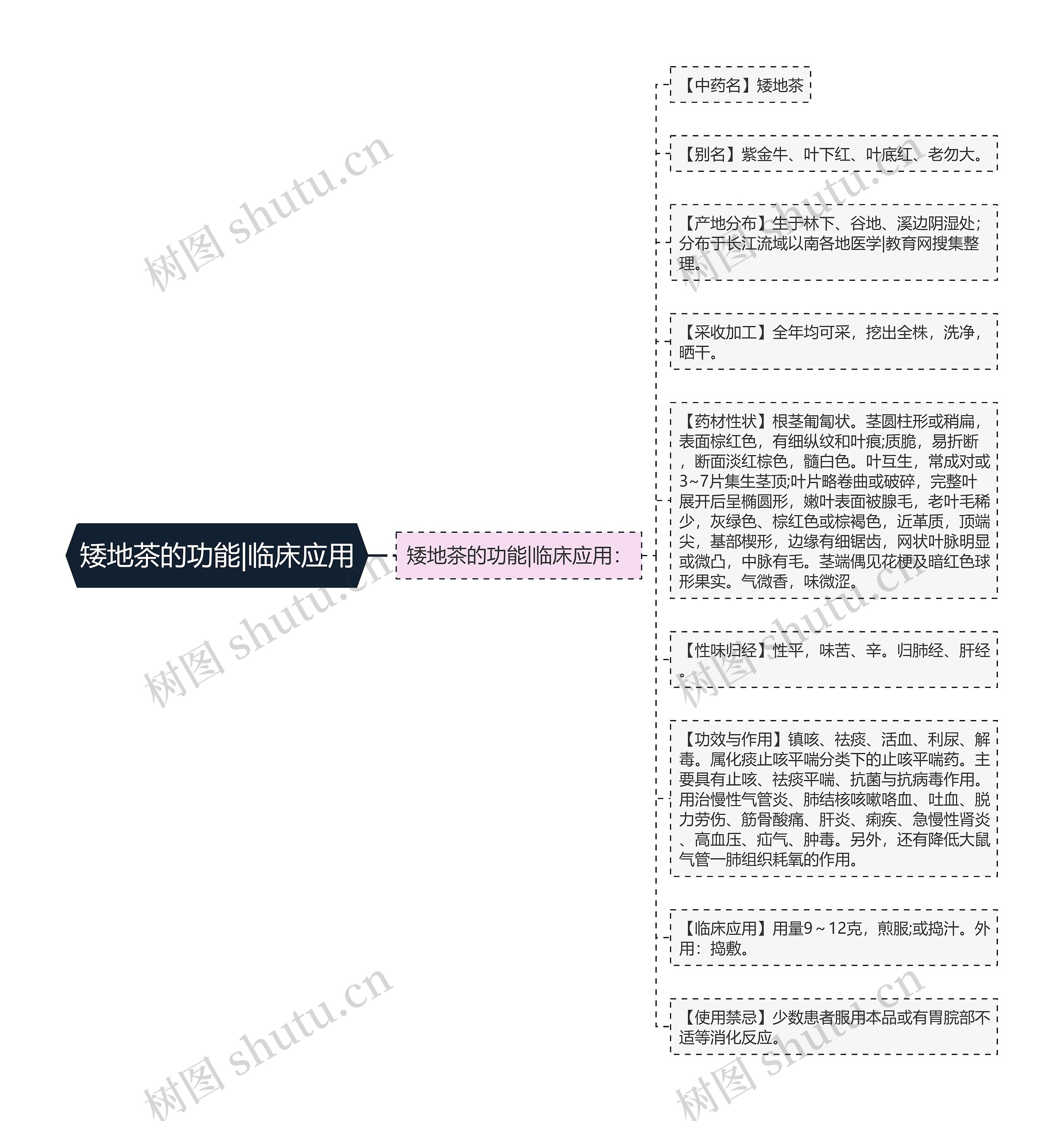 矮地茶的功能|临床应用