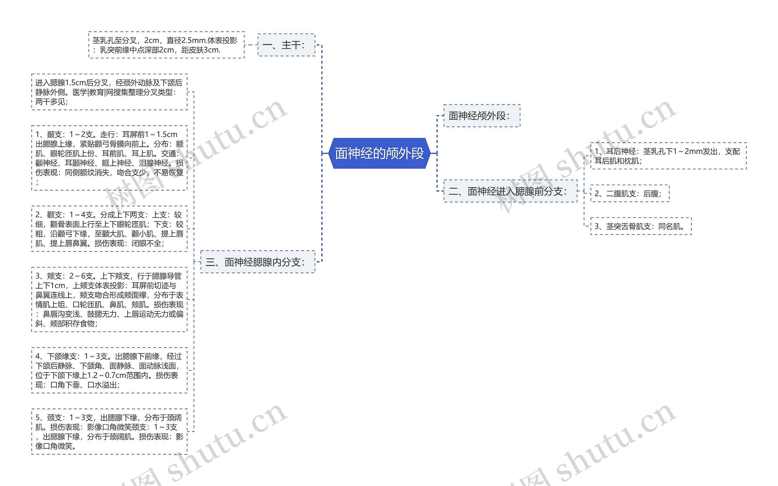 面神经的颅外段思维导图