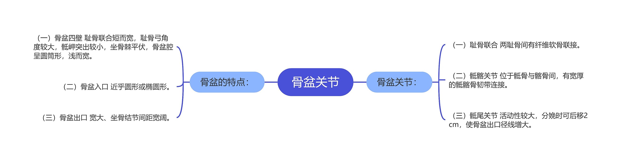 骨盆关节 骨盆关节