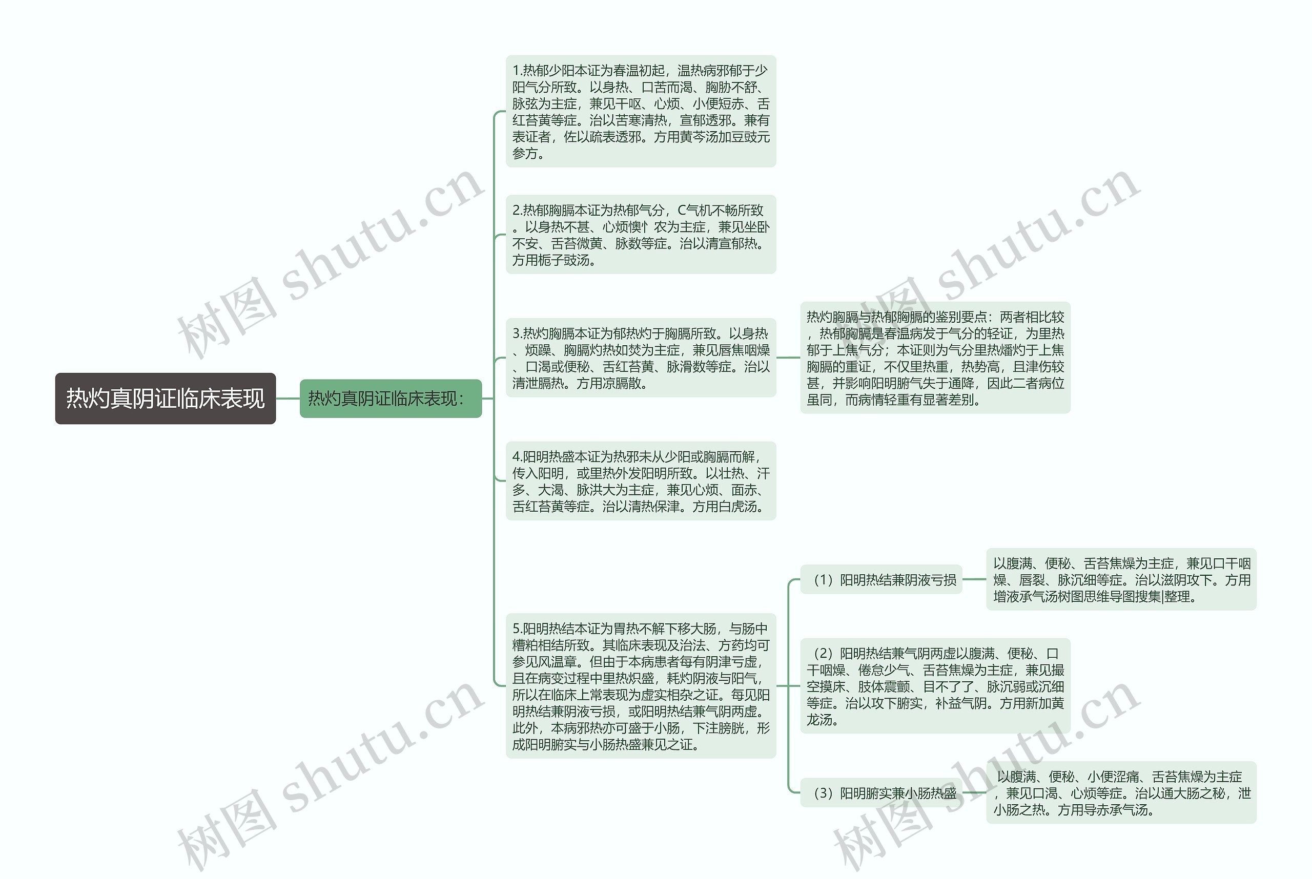 热灼真阴证临床表现