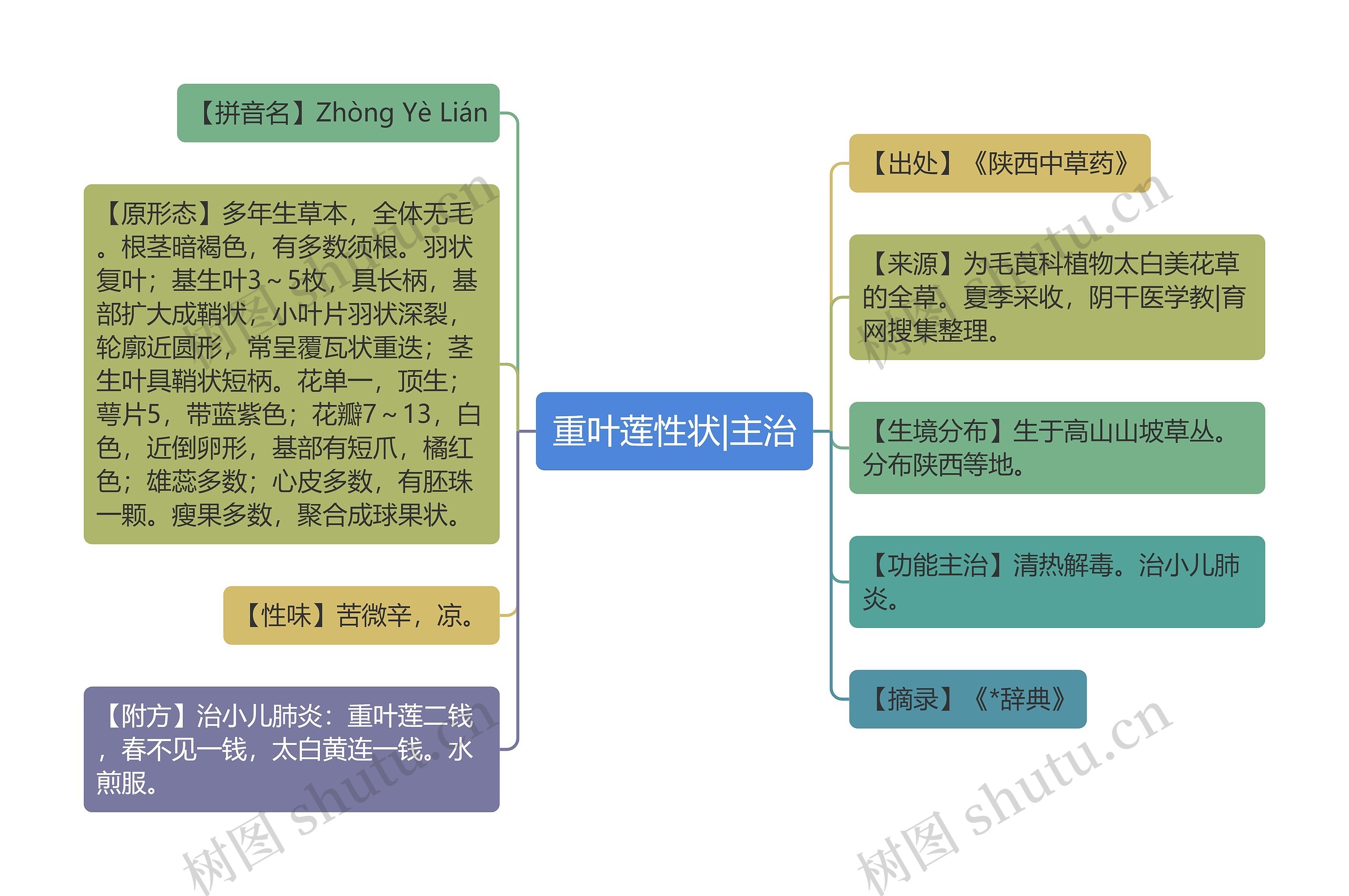 重叶莲性状|主治思维导图