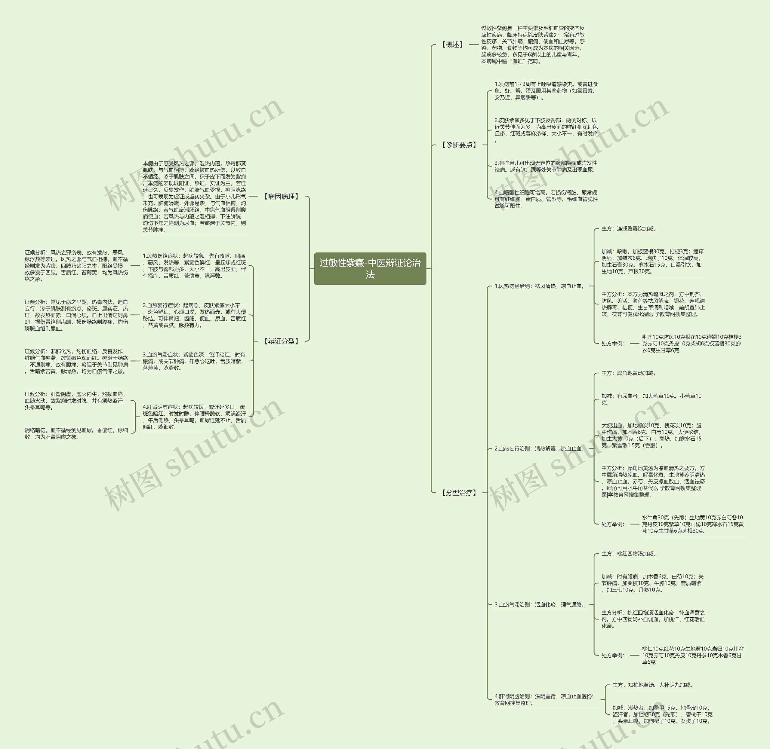 过敏性紫癜-中医辩证论治法思维导图