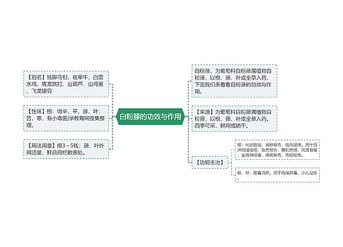 白粉藤的功效与作用